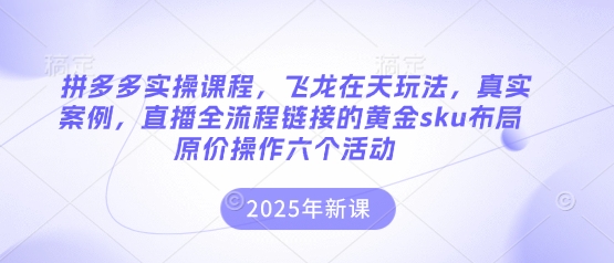 拼多多实操课程，飞龙在天玩法，真实案例，直播全流程链接的黄金sku布局原价操作六个活动-联合微创