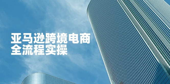 （14252期）亚马逊跨境电商全流程实操，教你从零开始，掌握店铺运营与广告技巧-联合微创