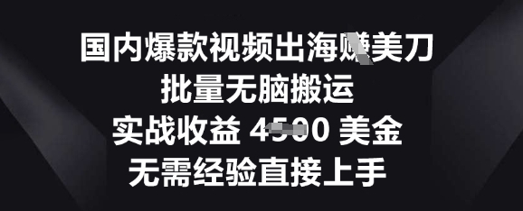 国内爆款视频出海挣美刀，批量无脑搬运，实战收益4.5k，无需经验直接上手-联合微创