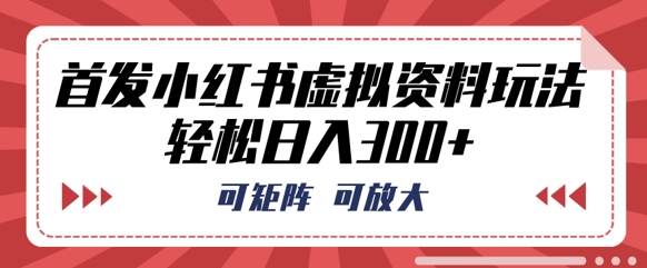 首发小红书虚拟资料玩法，可矩阵，可放大，轻松日入3张-联合微创