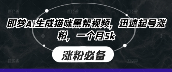 即梦AI生成猫咪黑帮视频，迅速起号涨粉，一个月5k-联合微创