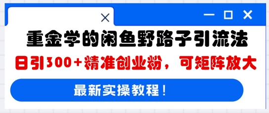 重金学的闲鱼野路子引流法，日引300+精准创业粉，可矩阵放大-联合微创