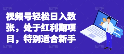 视频号轻松日入数张，处于红利期项目，特别适合新手-联合微创