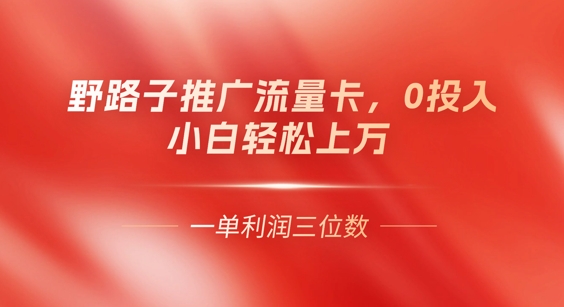 0门槛推广流量卡，一单收益上百，0投入，小白月入过W-联合微创