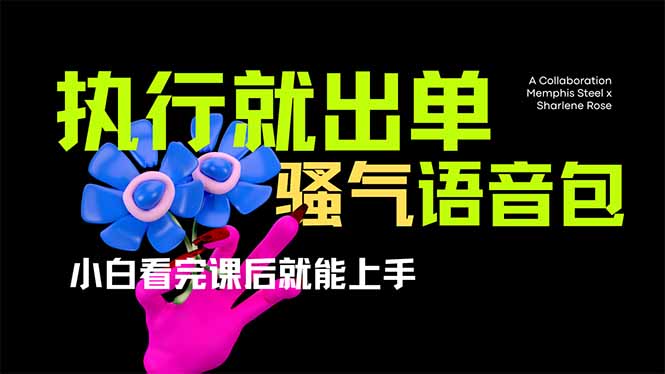 （14170期）爆火全网的开车导航骚气语音包,只要执行就出单，小白看完课程就能实操...-联合微创