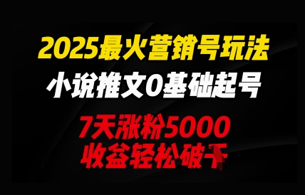 2025最火营销号玩法：小说推文0基础起号，7天涨粉5000，收益轻松破k-联合微创