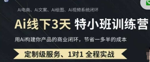 AI实操培训第20-21期线下，0基础保姆级教程，3月最新整理，企业获客、降本增效、打造超级个体-联合微创