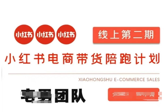 小红书电商带货课2期，月利润20个的小红书电商的有货源，无货源，虚拟产品，付费投流等整套玩法-联合微创