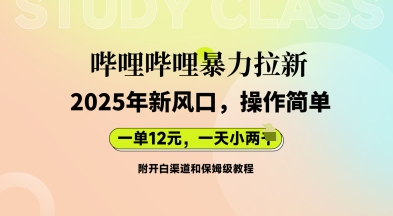 哔哩哔哩暴力拉新：2025年新风口，一单12元，一天数张(附开白渠道和保姆级教程)-联合微创