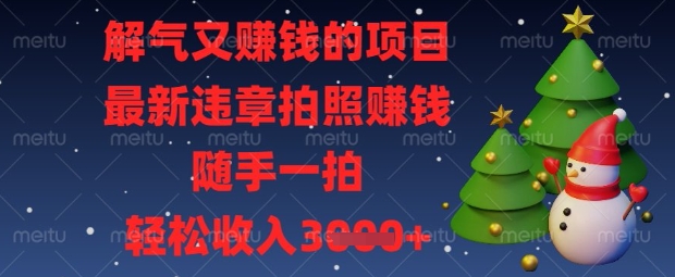 解气又挣钱的项目，最新违章拍照挣钱，随手一拍，轻松收入数张【揭秘】-联合微创
